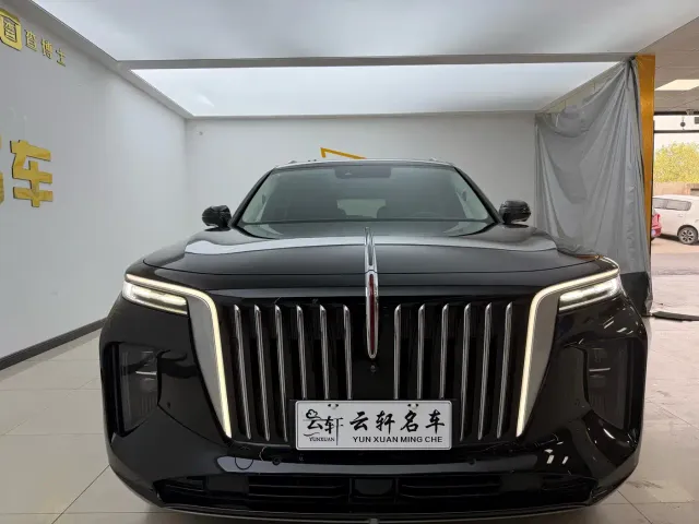 Hongqi E-HS9 — Фото автомобиля 2