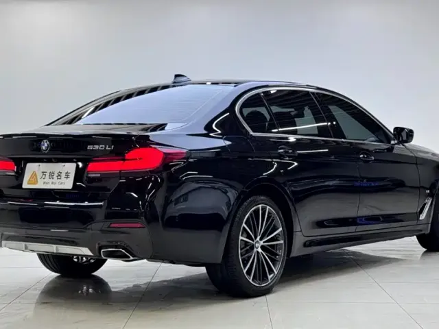 BMW 5 Series — Фото автомобиля 3