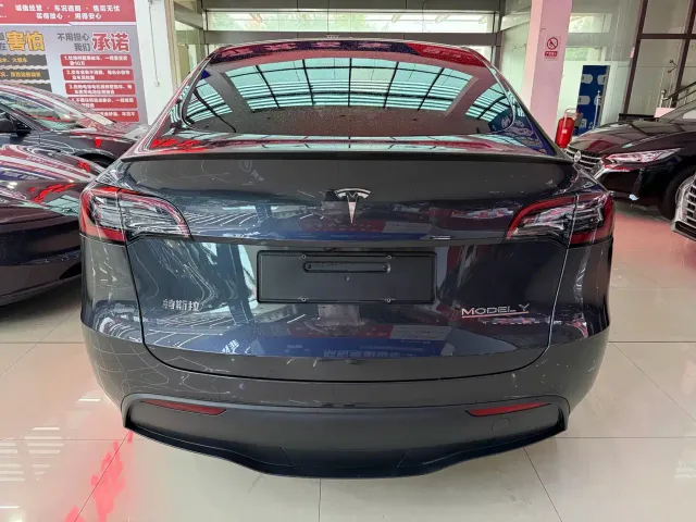 Tesla Model Y — Фото автомобиля 3