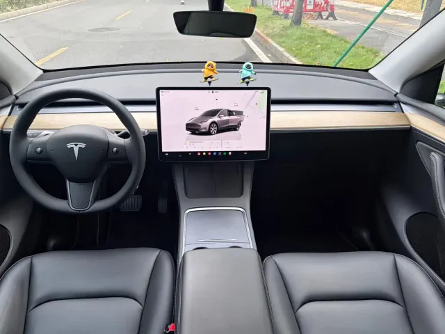 Tesla Model Y — Фото автомобиля 5