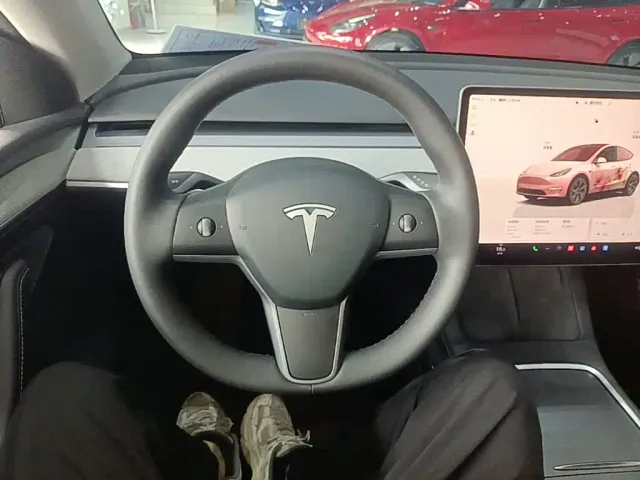 Tesla Model Y — Фото автомобиля 10