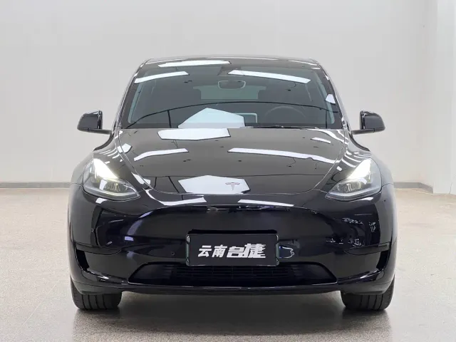 Tesla Model Y — Фото автомобиля 2
