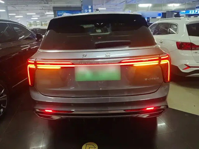 Hongqi E-HS9 — Фото автомобиля 5