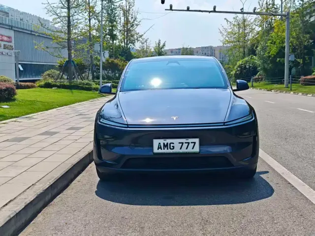 Tesla Model Y — Фото автомобиля 2
