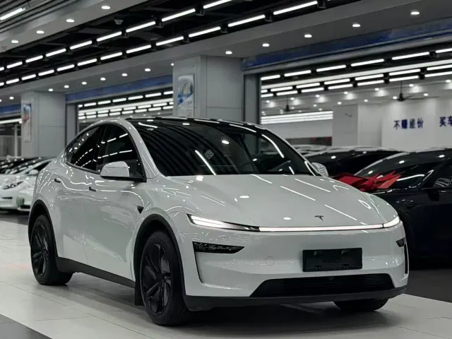 Tesla Model Y — Фото автомобиля 3