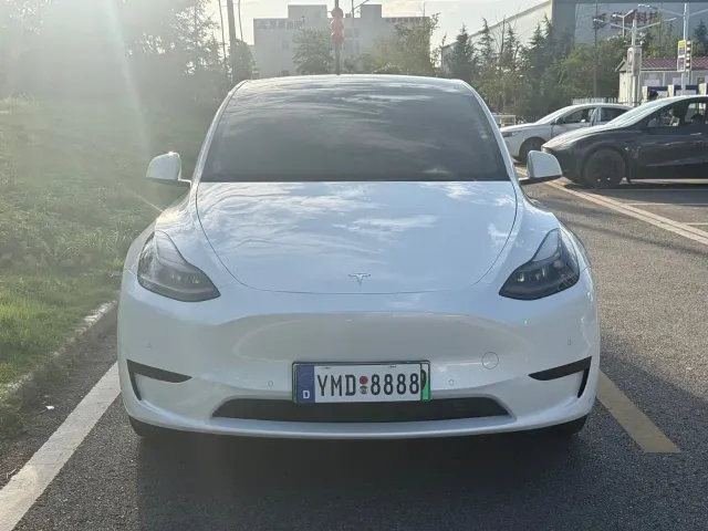 Tesla Model Y — Фото автомобиля 2