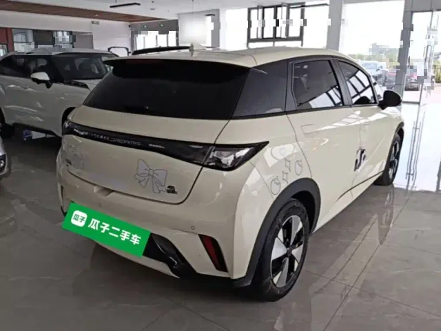 BYD Dolphin — Фото автомобиля 6