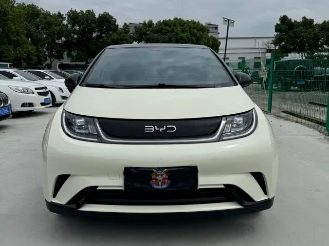 BYD Dolphin — Фото автомобиля 2
