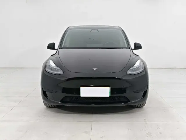 Tesla Model Y — Фото автомобиля 2