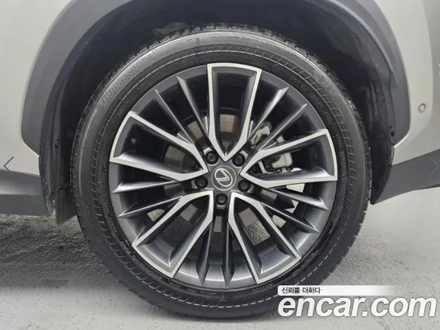 Lexus NX 2nd Gen — Фото автомобиля 5