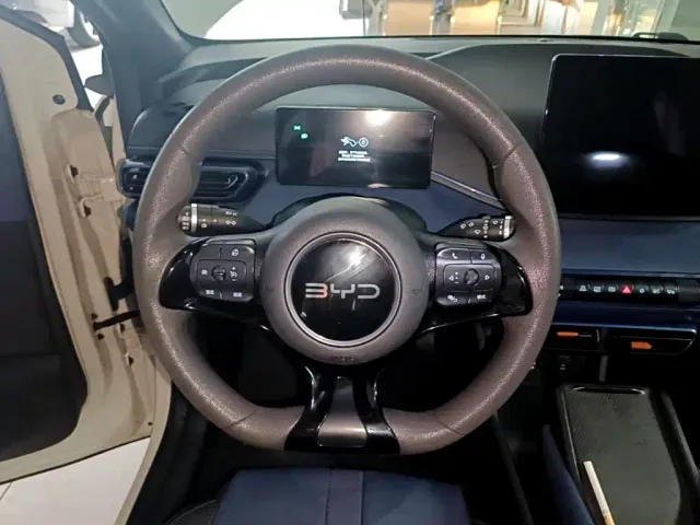 BYD Seagull — Фото автомобиля 10