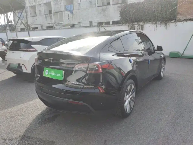 Tesla Model Y — Фото автомобиля 22