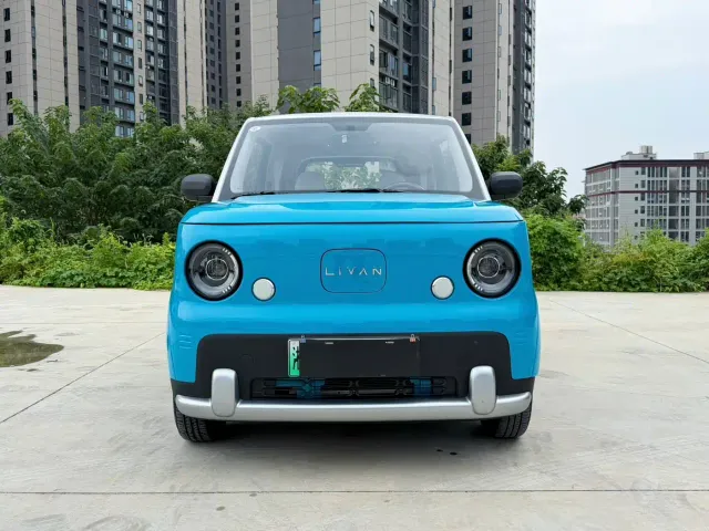 Livan Ruilan Blue Elf — Фото автомобиля 2