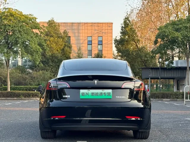 Tesla Model 3 — Фото автомобиля 11