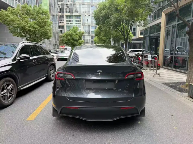 Tesla Model Y — Фото автомобиля 9