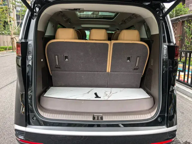 Denza D9 — Фото автомобиля 19