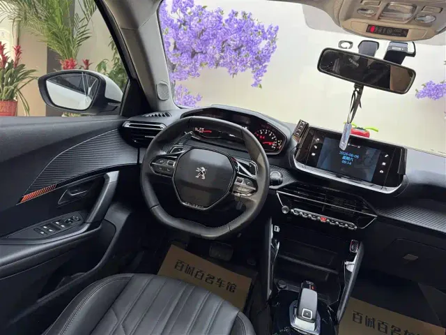 Peugeot 2008 — Фото автомобиля 15