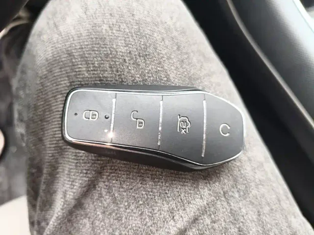 BYD Destroyer 05 2022 DM-i 55KM Luxury — Фото автомобиля 8