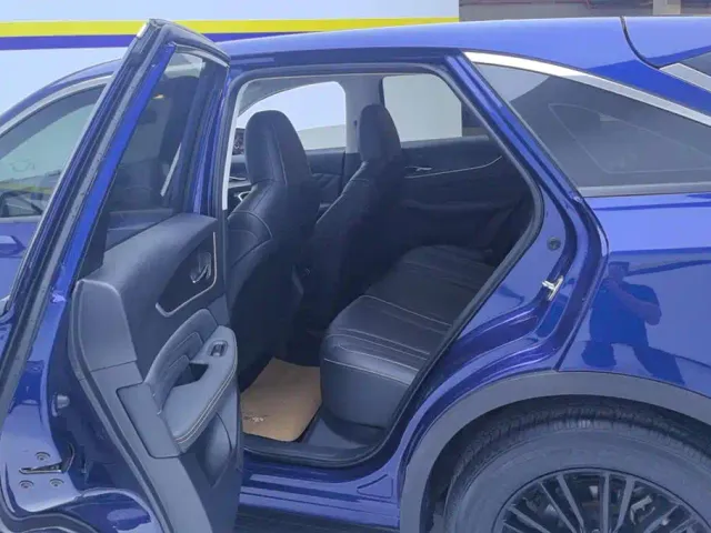 Venucia Venucia Big V 2021 260T Idol Edition — Фото автомобиля 11