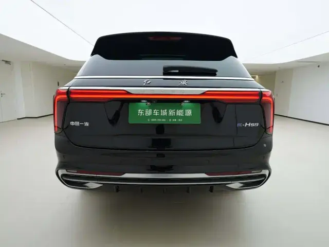Hongqi E-HS9 — Фото автомобиля 5