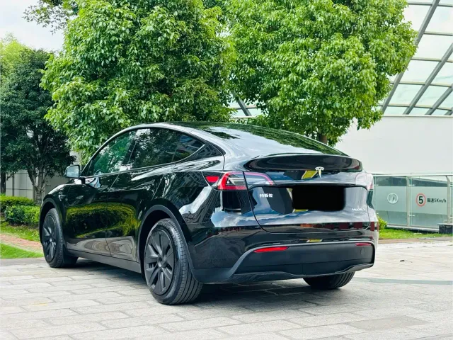Tesla Model Y — Фото автомобиля 20