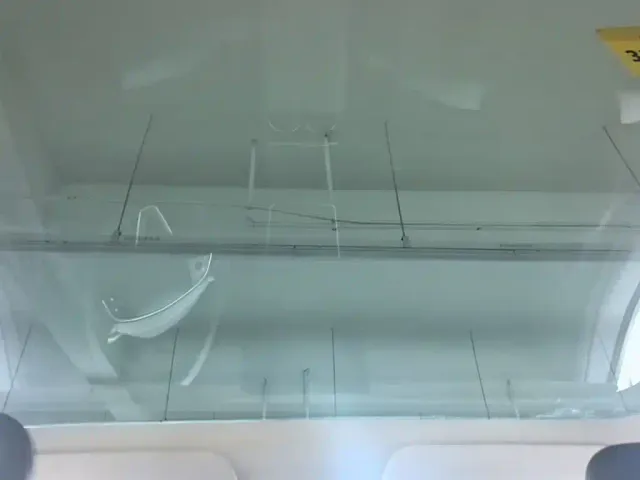 Tesla Model Y — Фото автомобиля 17