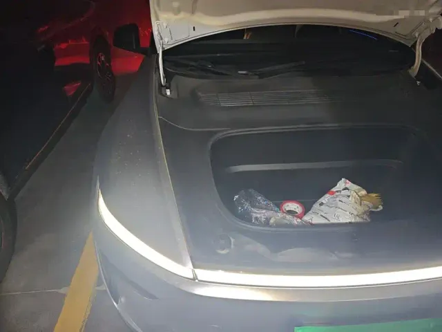 Tesla Model Y — Фото автомобиля 19