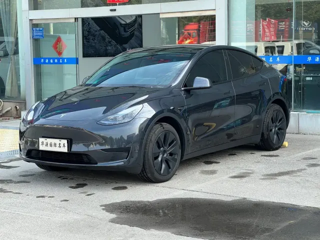 Tesla Model Y — Фото автомобиля 3
