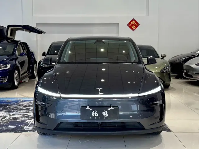 Tesla Model Y — Фото автомобиля 2