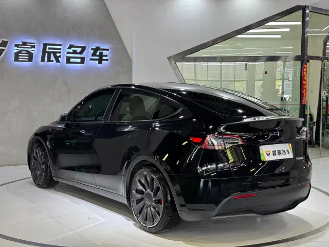 Tesla Model Y — Фото автомобиля 10