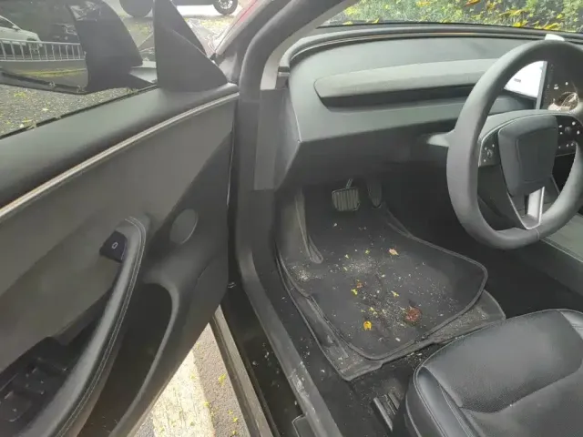 Tesla Model 3 — Фото автомобиля 12