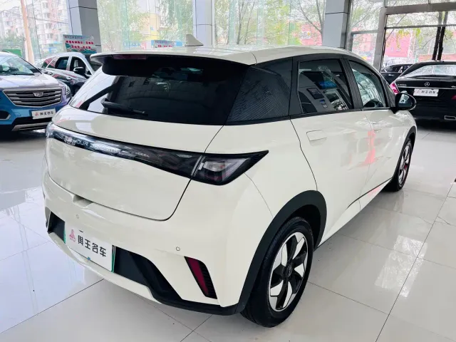 BYD Dolphin — Фото автомобиля 7