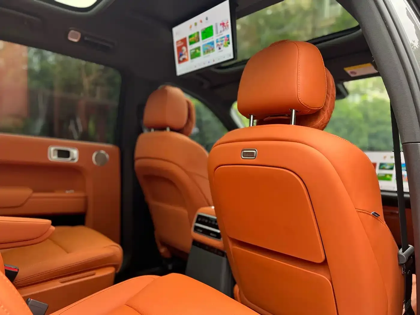 Li Auto Li Xiang L9 2022 Max — Фото автомобиля 10