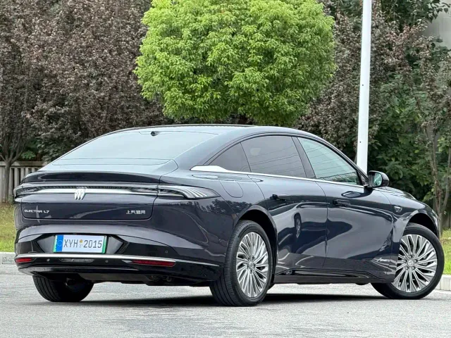 Buick Electra L7 — Фото автомобиля 21