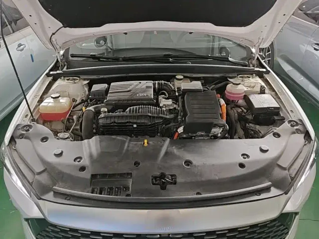 BYD Qin PLUS — Фото автомобиля 19