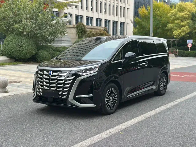 Фотография автомобиля — Denza D9