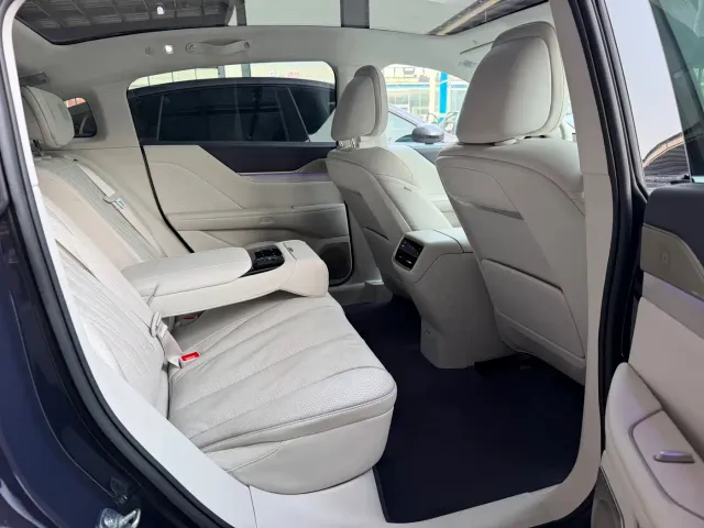 Buick Electra L7 — Фото автомобиля 15