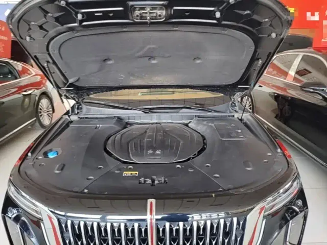 Hongqi H9 — Фото автомобиля 19