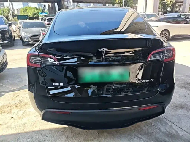 Tesla Model Y — Фото автомобиля 3