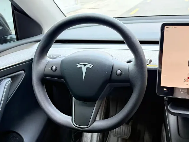 Tesla Model Y — Фото автомобиля 9