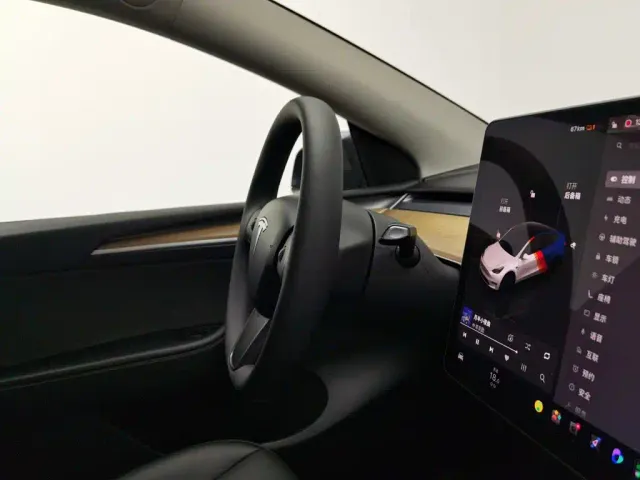 Tesla Model Y 2021 Performance High-Performance AWD — Фото автомобиля 22