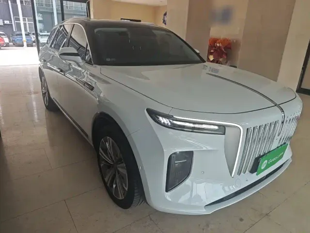 Hongqi E-HS9 — Фото автомобиля 3