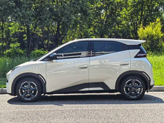 BYD Seagull — Фото автомобиля 7
