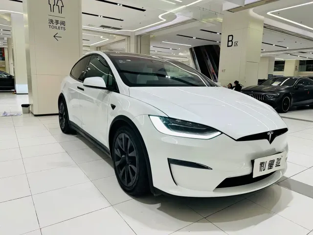 Tesla Model X — Фото автомобиля 19