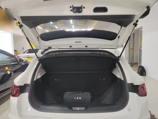 BYD e2 — Фото автомобиля 18