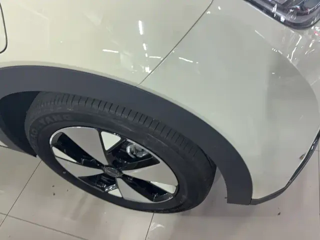 BYD Dolphin — Фото автомобиля 18