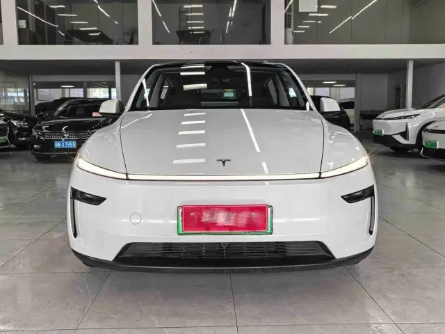 Tesla Model Y — Фото автомобиля 2