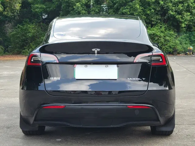 Tesla Model Y — Фото автомобиля 14