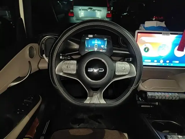 BYD Dolphin — Фото автомобиля 10