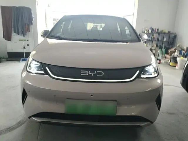 BYD Dolphin — Фото автомобиля 2